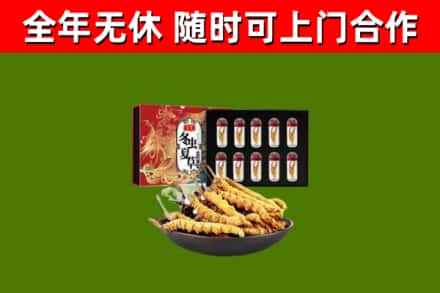 龙岩市烟酒回收冬虫夏草礼盒.jpg