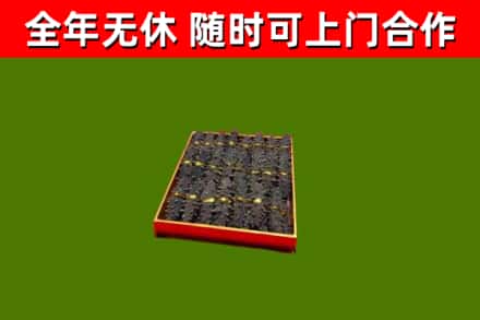 龙岩市回收海参